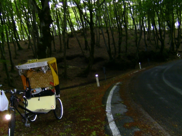 viaggio in risciò - Parco dell'Aspromonte, nazionale 111, tratto che attraversa la faggeta scendendo per Gerace