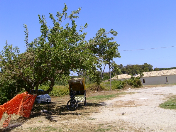 viaggio in risciò - borgia
