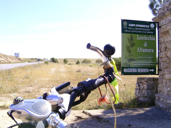 viaggio in risciò - ss.96 per Bari
