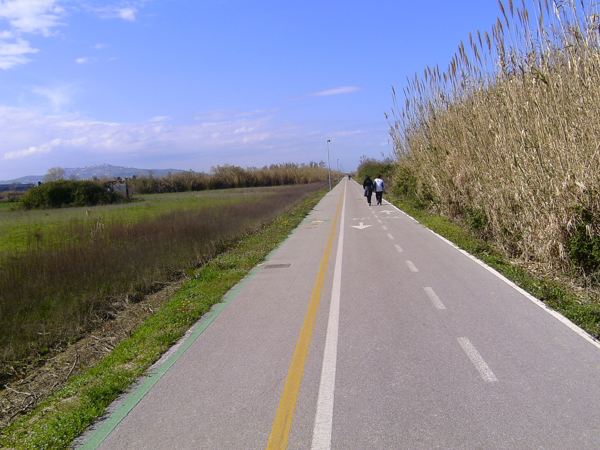 pista pineto ciclabile