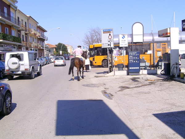 cow-boy civitanova marche