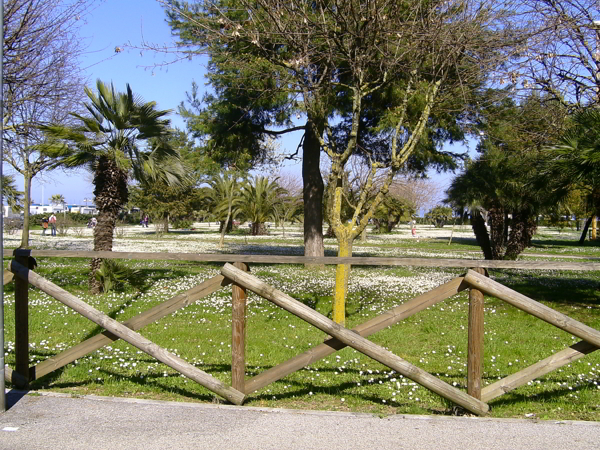 porto recanati