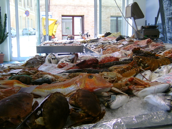 pescheria in via XI settembre